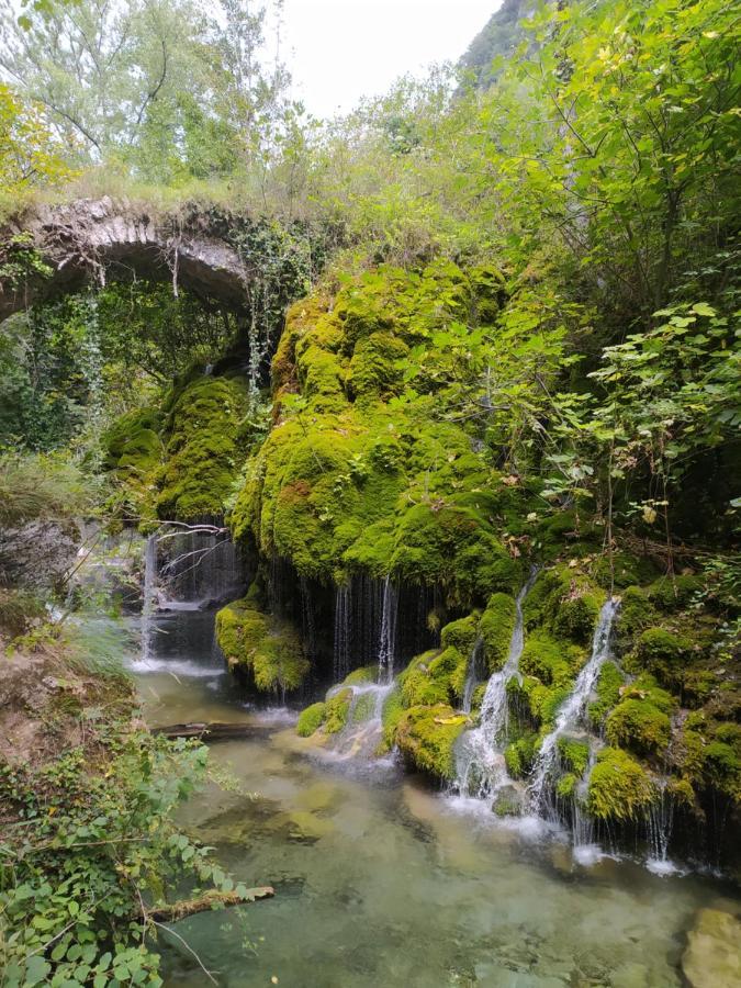 Tortorella Tenuta Vallina - Golfo Di Policastro المظهر الخارجي الصورة